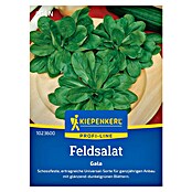 Kiepenkerl Profi-Line Salatsamen Feldsalat Gala (Valerianella locusta, Erntezeit: Ganzjährig) | BAUHAUS