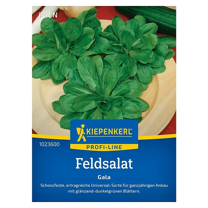 Kiepenkerl Profi-Line Salatsamen Feldsalat Gala - Valerianella locusta, Erntezeit: Ganzjährig - Abbildung der Feldsalat Gala-Samenpackung von Kiepenkerl Profi-Line, einer universellen Sorte für den ganzjährigen Anbau.
