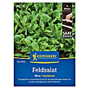 Kiepenkerl Profi-Line Salatsamen Feldsalat Miro Saatband (Valerianella locusta) | BAUHAUS