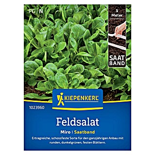 Kiepenkerl Profi-Line Salatsamen Feldsalat Miro Saatband (Valerianella locusta)