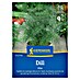 Kiepenkerl Profi-Line Kräutersamen Dill 