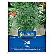 Kiepenkerl Profi-Line Kräutersamen Dill (Anethum graveolens var. hortorum, Saatzeit: Ganzjährig, Erntezeit: Ganzjährig) | BAUHAUS