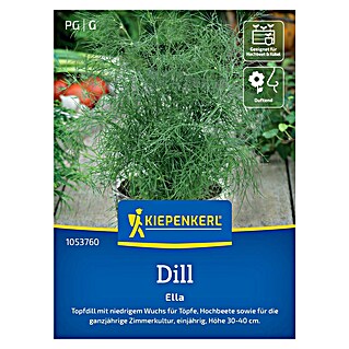 Kiepenkerl Profi-Line Kräutersamen Dill (Anethum graveolens var. hortorum, Saatzeit: Ganzjährig, Erntezeit: Ganzjährig)