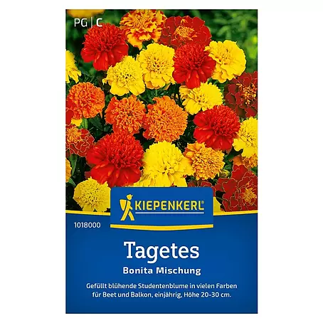 Kiepenkerl  Blumensamen Tagetes