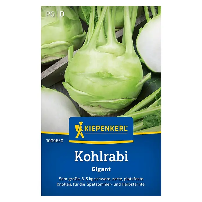 Kiepenkerl Gemüsesamen Kohlrabi Gigant - Brassica oleracea var. gongylodes, Erntezeit: Juni - Bild einer Kohlrabi-Samenpackung der Marke Kiepenkerl, Sorte Gigant.