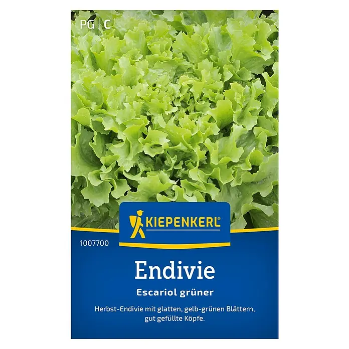 Kiepenkerl Salatsamen Endivie - Chicorium endivia, Erntezeit: September - Das Bild zeigt eine Packung 'Endivie Escariol grüner' Samen von Kiepenkerl, eine Herbst-Endivie mit glatten, gelb-grünen Blättern.