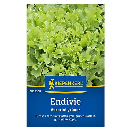 Kiepenkerl  Salatsamen Endivie