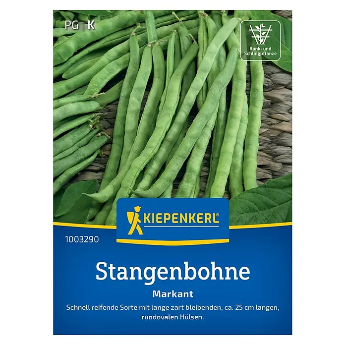 Kiepenkerl Profi-Line Gemüsesamen Stangenbohne Markant - Phaseolus vulgaris var. vulgaris, Erntezeit: Juli - Samenpackung Stangenbohne 'Markant' von Kiepenkerl, eine schnell reifende Sorte mit langen, zarten Hülsen für den Gemüseanbau.