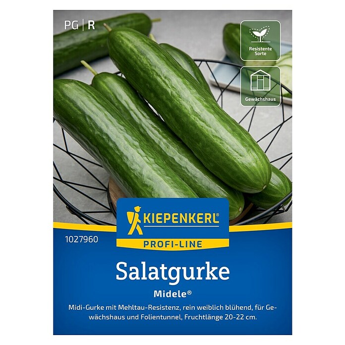 Kiepenkerl Profi-Line Gemüsesamen Salatgurke Midele (Cucumis sativus, Erntezeit: Juli) | BAUHAUS