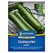 Kiepenkerl Profi-Line Gemüsesamen Salatgurke Midele (Cucumis sativus, Erntezeit: Juli) | BAUHAUS