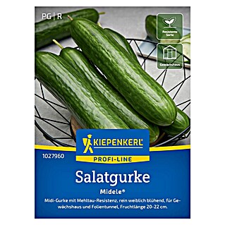 Kiepenkerl Profi-Line Gemüsesamen Salatgurke Midele (Cucumis sativus, Erntezeit: Juli)