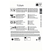 Kiepenkerl Lukovice ljetnog cvijeća Ljiljan Red County  (Lilium x Hybrida, 1 Kom., Crvena) | BAUHAUS