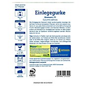 Kiepenkerl Profi-Line Gemüsesamen Einlegegurke Diamant PS (Cucumis sativus, Erntezeit: Juli) | BAUHAUS