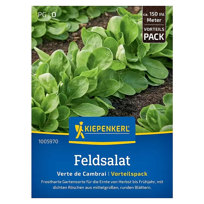 Kiepenkerl Salatsamen Feldsalat Verte de Cambrai Vorteilspack - Valerianella locusta, Erntezeit: Oktober - KIEPENKERL Feldsalat 'Verte de Cambrai' Samenpackung, Vorteilspack für ca. 150 Meter, mit Abbildung von grünen Pflanzen.