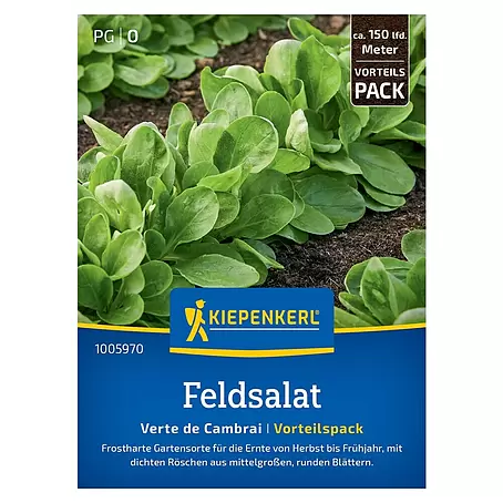 Kiepenkerl  Salatsamen Feldsalat Verte de Cambrai Vorteilspack