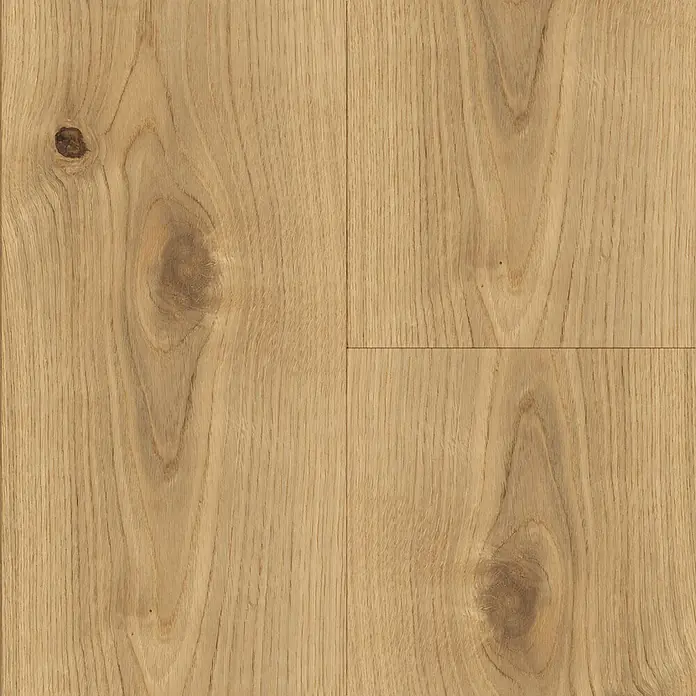 Living by Haro Parkettmuster Eiche geölt strukturiert - 290 x 180 x 12 mm, Landhausdiele - Detailaufnahme von hellem Eichenparkett mit natürlichen Holzmaserungen und Astlöchern, ideal für moderne und klassische Inneneinrichtungen.