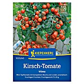 Kiepenkerl Profi-Line Gemüsesamen Kirsch-Tomate Vilma (Solanum lycopersicum, Erntezeit: Juli) | BAUHAUS