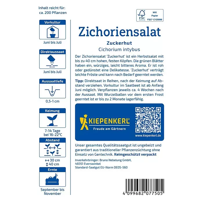 Gemüsesamen Zichoriensalat Zuckerhut - Cichorium intybus, Erntezeit: September - Weiß-blaue Samentüte für Zichoriensalat 'Zuckerhut' mit Pflanzanleitung und Illustrationen.
