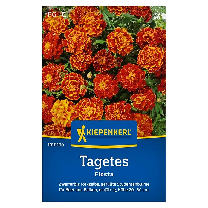 Kiepenkerl Blumensamen Tagetes - Tagetes patula, Rot-orange - Samenpackung Tagetes Fiesta, zweifarbig rot-gelbe Studentenblume für Beet und Balkon.