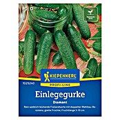 Kiepenkerl Profi-Line Gemüsesamen Einlegegurke Diamant (Cucumis sativus, Erntezeit: Juli) | BAUHAUS