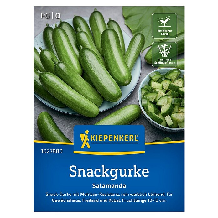 Kiepenkerl Profi-Line Gemüsesamen Snackgurke Salamanda (Cucumis sativus, Erntezeit: Juni) | BAUHAUS