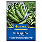 Kiepenkerl Profi-Line Gemüsesamen Snackgurke Salamanda (Cucumis sativus, Erntezeit: Juni) | BAUHAUS