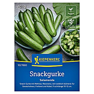 Kiepenkerl Profi-Line Gemüsesamen Snackgurke Salamanda (Cucumis sativus, Erntezeit: Juni)