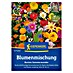 Kiepenkerl Blumensamen Buntes Sommerwunder 