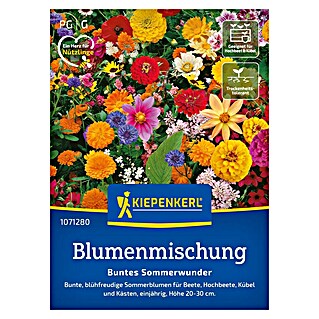 Kiepenkerl Blumensamen Buntes Sommerwunder (Verschiedene Sorten, Mehrfarbig, 1 m² - 2 m²)