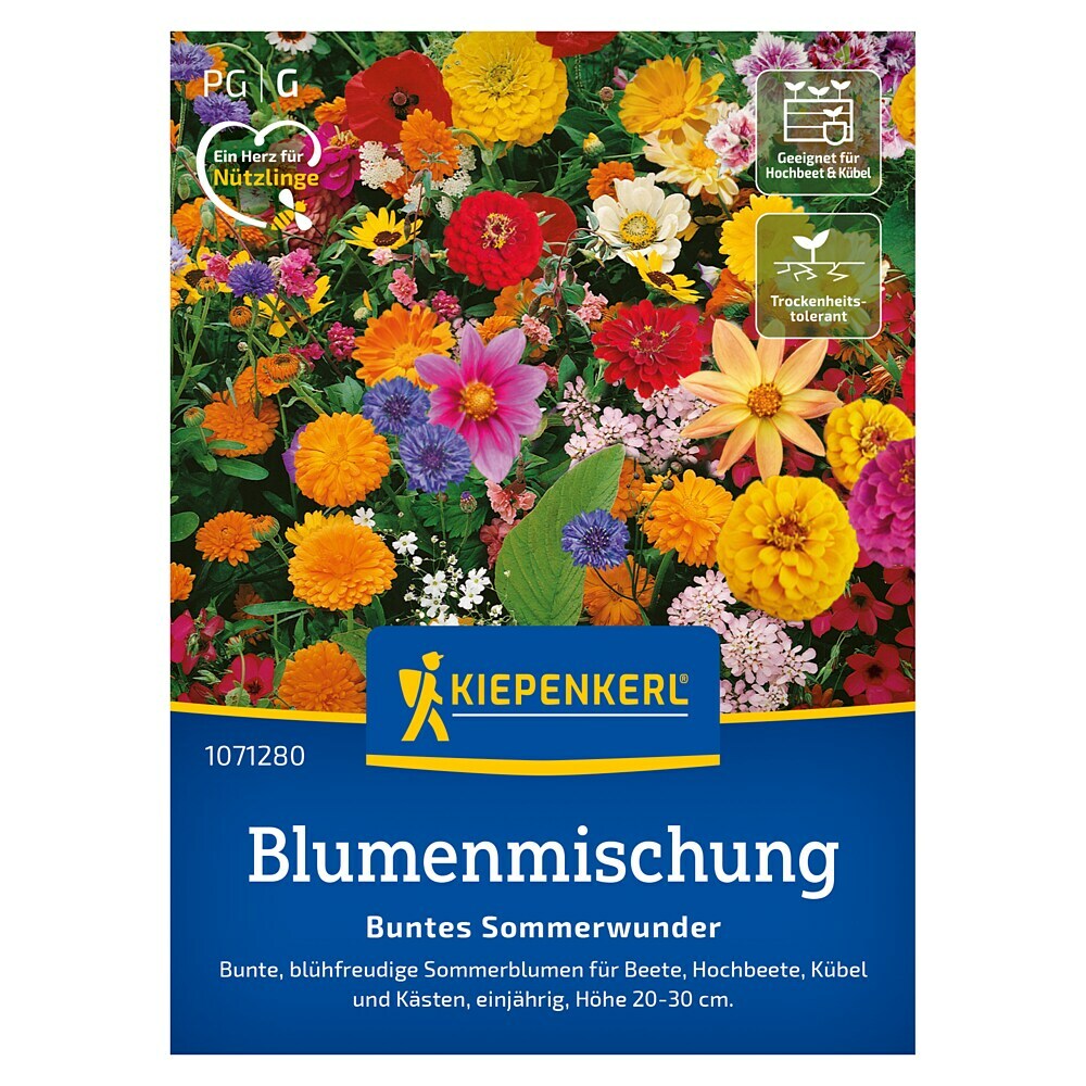 Kiepenkerl Lupinensamen Gartenzwerg Mischung – Kompakte Staude Für Beet & Kübel