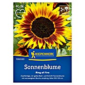 Kiepenkerl Profi-Line Blumensamen Sonnenblume Ring of Fire (Helianthus annuus, Mehrfarbig) | BAUHAUS