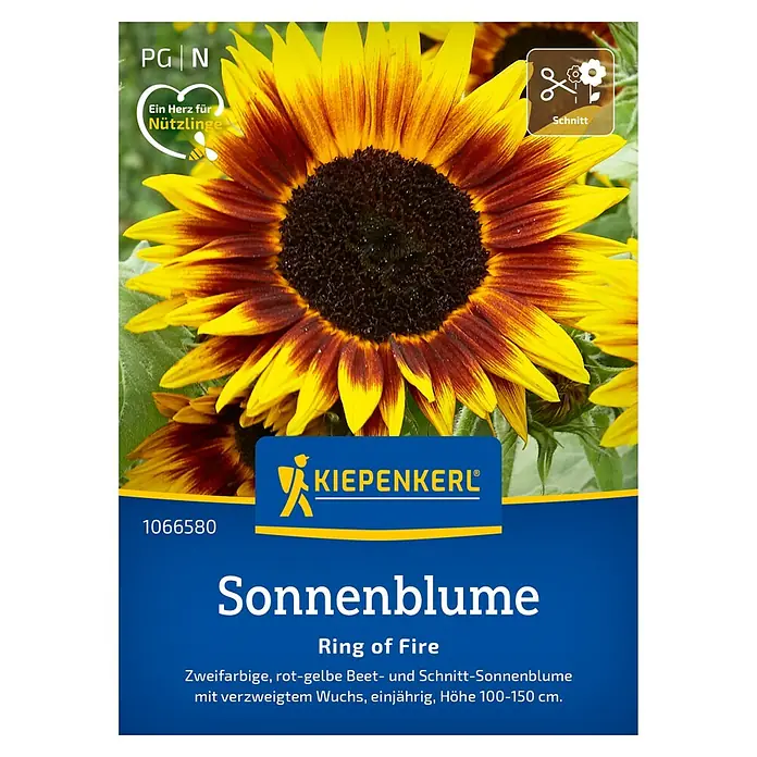 Kiepenkerl Profi-Line Blumensamen Sonnenblume Ring of Fire - Helianthus annuus, Mehrfarbig - Sämereien für Sonnenblume "Ring of Fire" von Kiepenkerl: Zweifarbige, rot-gelbe Beet- und Schnitt-Sonnenblume für Garten und Balkon.