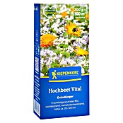 Kiepenkerl Gründüngung Hochbeet Vital (Mischung, 100 m²) | BAUHAUS