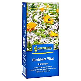 Kiepenkerl Gründüngung Hochbeet Vital (Mischung, 100 m²)