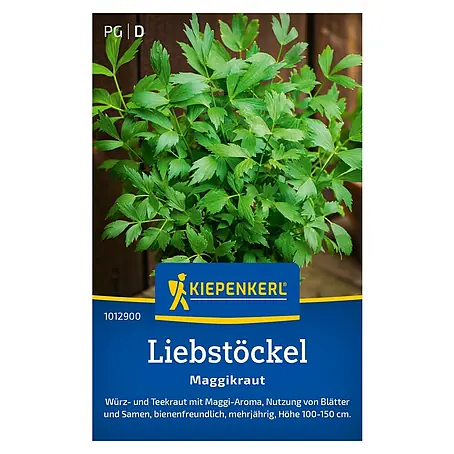 Kiepenkerl  Kräutersamen Liebstöckel Maggikraut