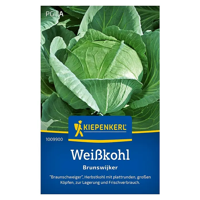 Kiepenkerl Gemüsesamen Weißkohl - Brassica oleracea var. capitata f. alba, Erntezeit: Juli - Weißkohl 'Brunswijker' von Kiepenkerl. Ein Herbstkohl mit plattrunden, großen Köpfen, ideal zur Lagerung und für den Frischverbrauch.