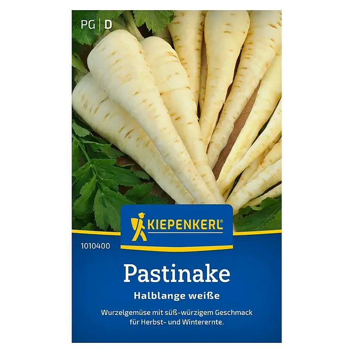 Kiepenkerl Gemüsesamen Pastinake halblange Weiße - Pastinaca sativa, Erntezeit: Oktober - Abbildung der Pastinake "Halblange weiße" von Kiepenkerl, einem Wurzelgemüse für die Herbst- und Winterernte.