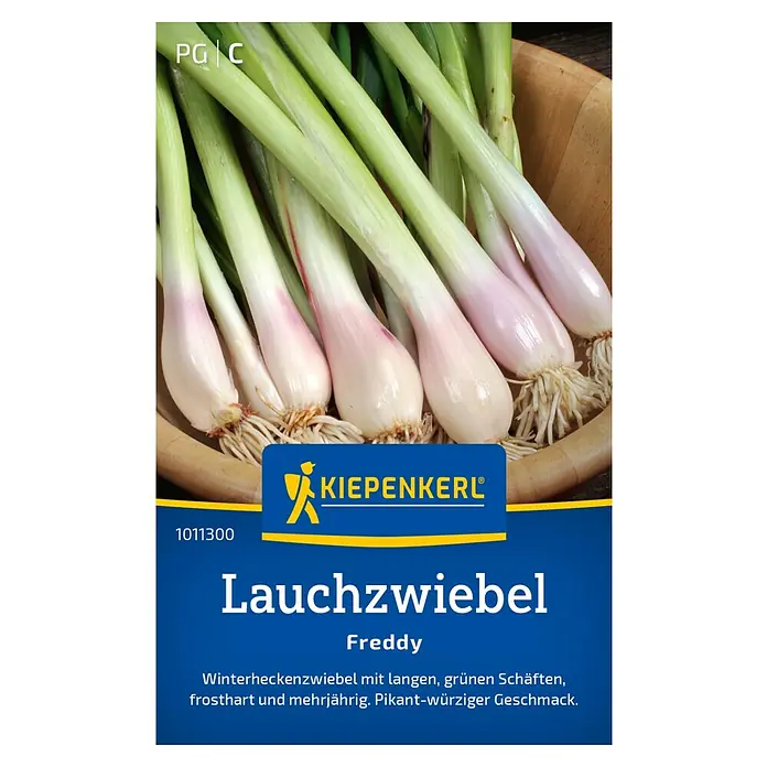 Kiepenkerl Gemüsesamen Lauchzwiebel - Allium fistulosum, Erntezeit: Ganzjährig - Das Bild zeigt eine Packung Lauchzwiebel 'Freddy' von Kiepenkerl. Winterhart und mehrjährig mit pikant-würzigem Geschmack.