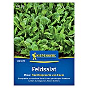 Kiepenkerl Profi-Line Salatsamen Feldsalat Miro (Valerianella locusta, Erntezeit: Ganzjährig, 3 g) | BAUHAUS