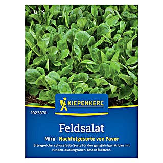 Kiepenkerl Profi-Line Salatsamen Feldsalat Miro (Valerianella locusta, Erntezeit: Ganzjährig, 3 g)