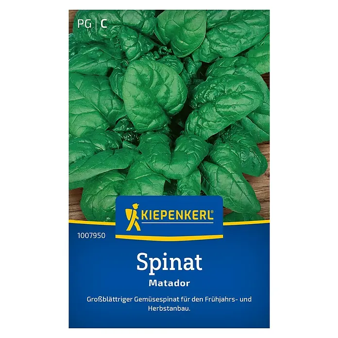 Kiepenkerl Gemüsesamen Spinat - Spinacia oleracea, Erntezeit: September - Das Bild zeigt Spinat-Samen der Sorte Matador von Kiepenkerl, ideal für den Anbau im Frühjahr und Herbst.