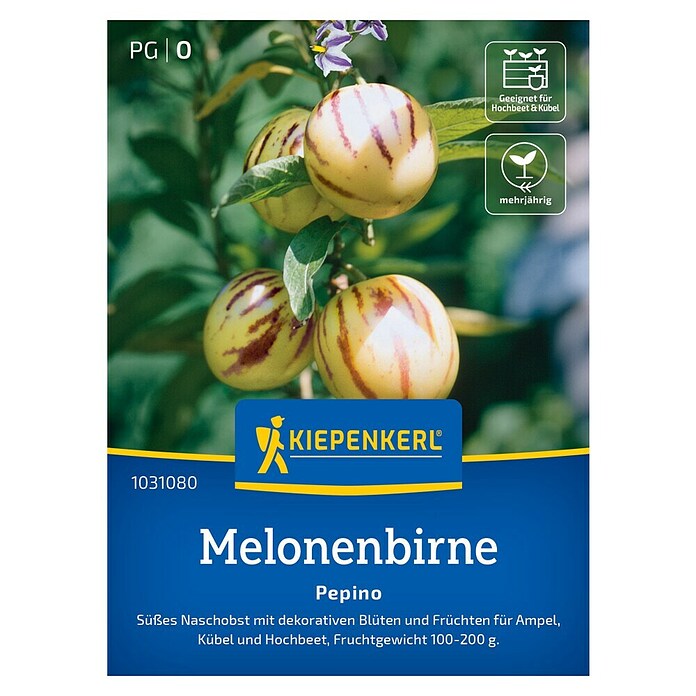 Kiepenkerl Profi-Line Obstsamen Melonenbirnen Pepino (Solanum muricatum, Erntezeit: Juli) | BAUHAUS