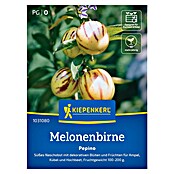 Kiepenkerl Profi-Line Obstsamen Melonenbirnen Pepino (Solanum muricatum, Erntezeit: Juli) | BAUHAUS