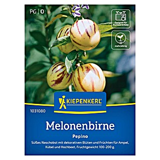 Kiepenkerl Profi-Line Obstsamen Melonenbirnen Pepino (Solanum muricatum, Erntezeit: Juli)