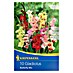 Kiepenkerl Lukovice ljetnog cvijeća Gladiola Butterfly Mix 