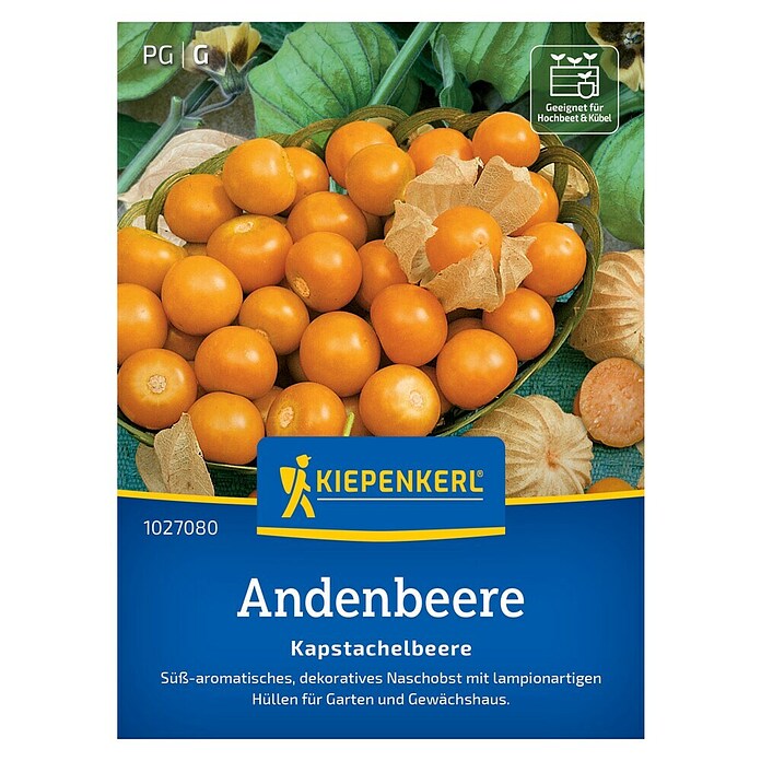 Kiepenkerl Profi-Line Obstsamen Andenbeere Kapstachelbeere (Physalis peruviana, Erntezeit: August) | BAUHAUS