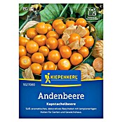 Kiepenkerl Profi-Line Obstsamen Andenbeere Kapstachelbeere (Physalis peruviana, Erntezeit: August) | BAUHAUS