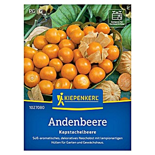 Kiepenkerl Profi-Line Obstsamen Andenbeere Kapstachelbeere (Physalis peruviana, Erntezeit: August)