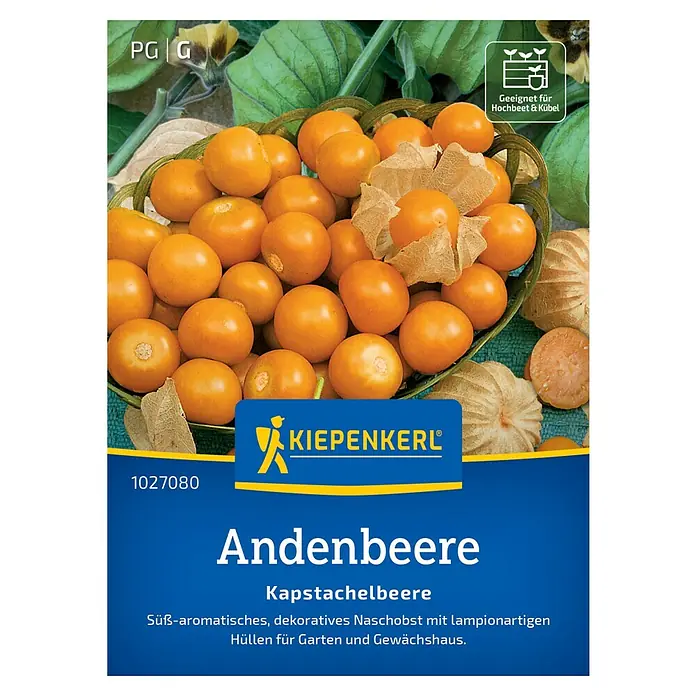 Kiepenkerl Profi-Line Obstsamen Andenbeere Kapstachelbeere - Physalis peruviana, Erntezeit: August - Das Bild zeigt eine Packung Andenbeeren-Samen von Kiepenkerl, ideal für den Anbau im Hochbeet oder Kübel, mit süß-aromatischen Früchten.