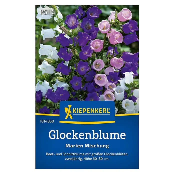 Kiepenkerl Blumensamen Glockenblume - Campanula medium, Mehrfarbig - Samentüte Glockenblume Marien Mischung von Kiepenkerl, mit einer Abbildung der dreifarbigen Blüten in Weiß, Lila und Rosa.